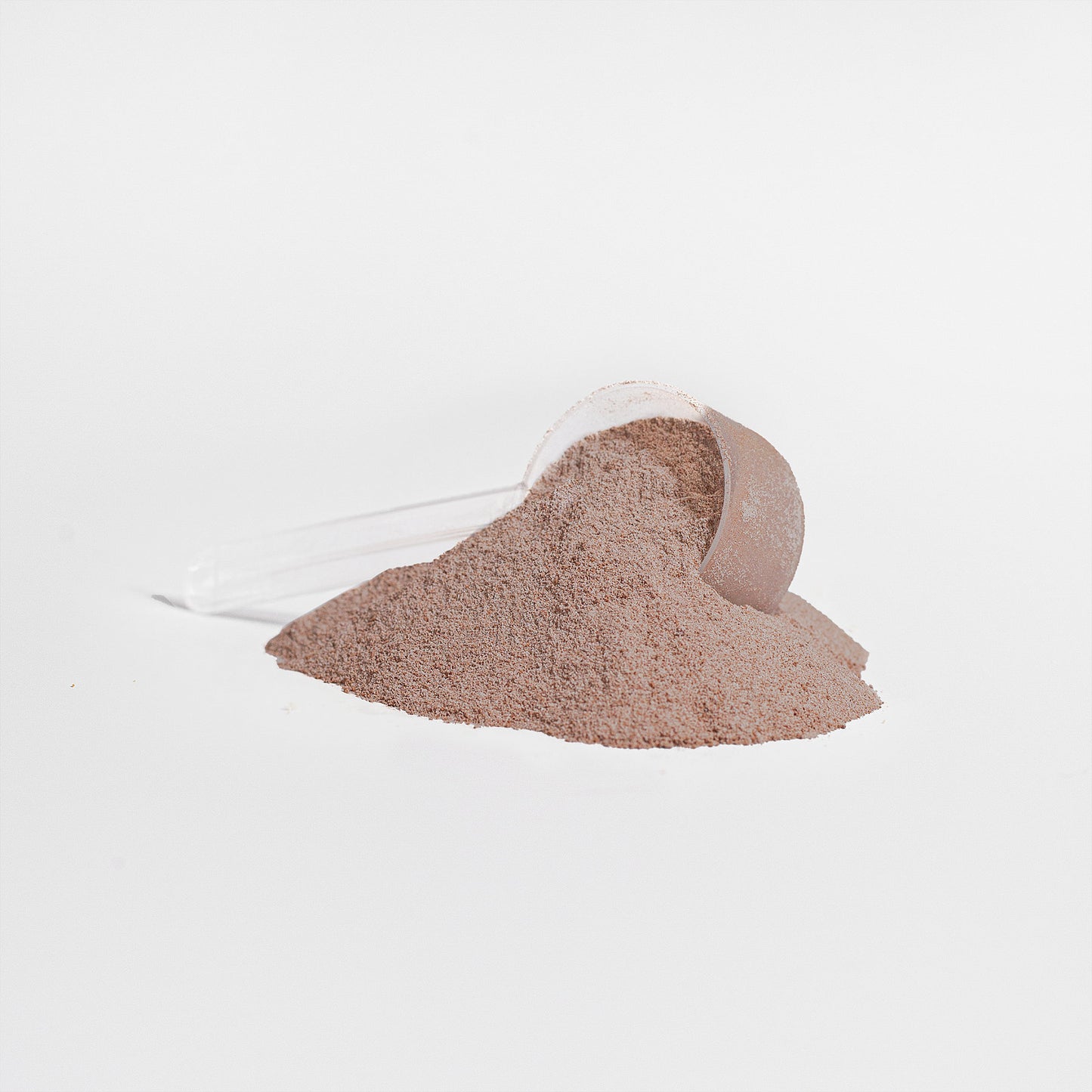 Elemental Edge: Lean Muscle Whey Protein Powder (Chocolate)