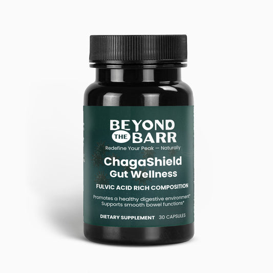 ChagaShield: Fulvic Acid for Gut Repair - Improve Digestion - Capsules